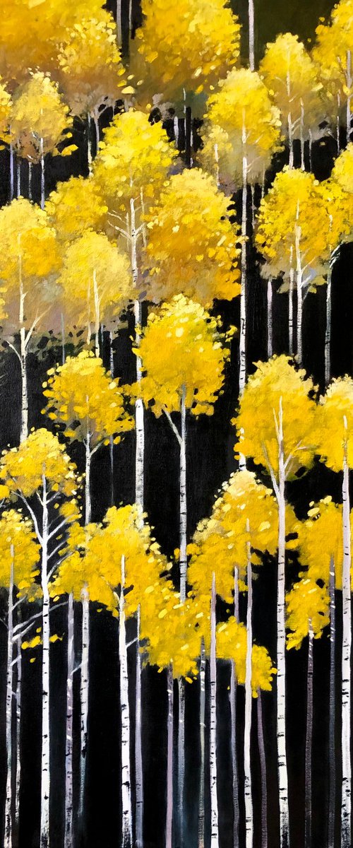 Yellow Aspens in dark forest by Volodymyr Smoliak