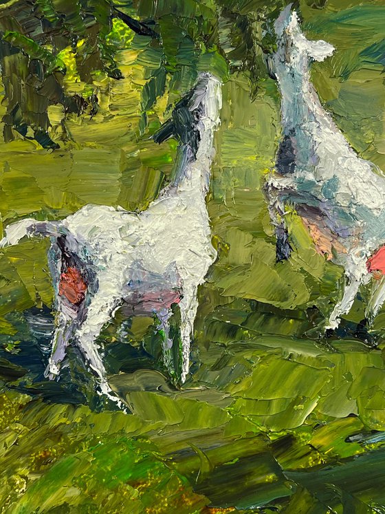 Summer Day on the Pasture