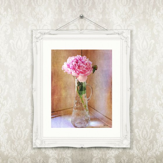 Peony in Vase