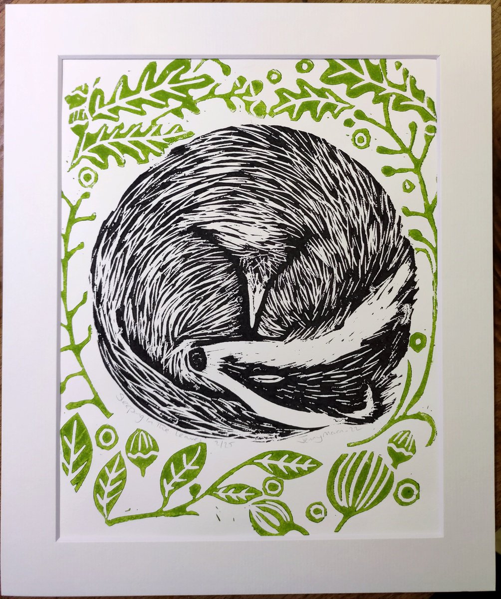 Sleeping badger by Jenny Moran