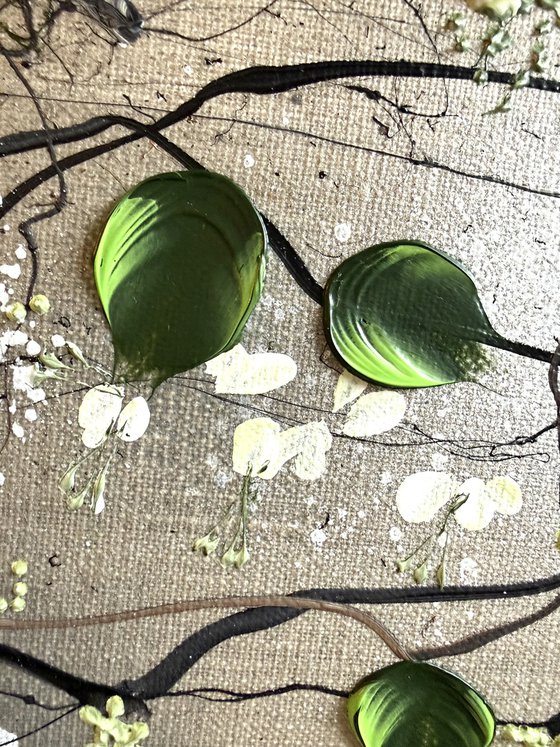 White Blooms