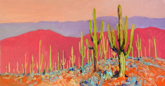 Warm Evening, Saguaros