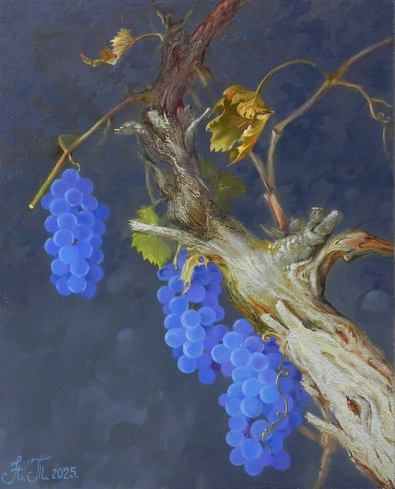 “The charm of the grapevine”