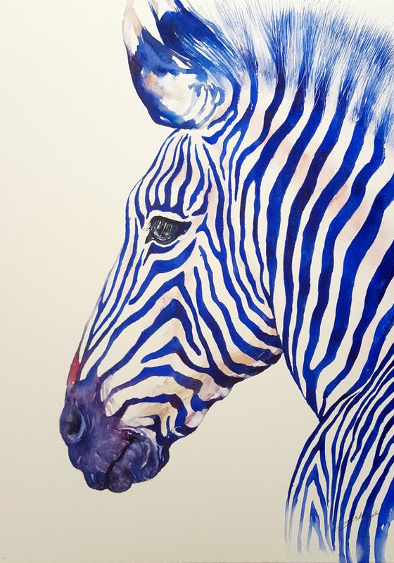 Blazing Blue Zebra