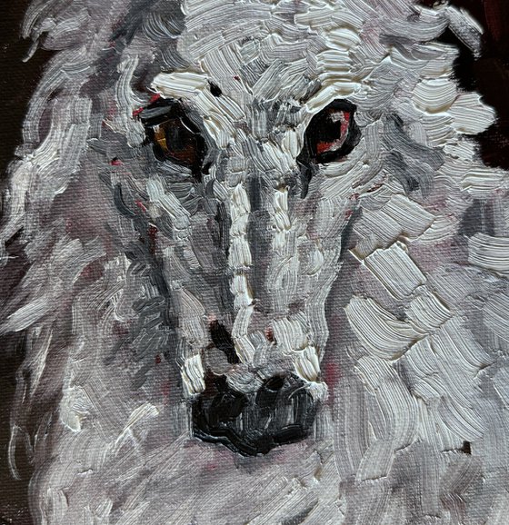 White greyhound