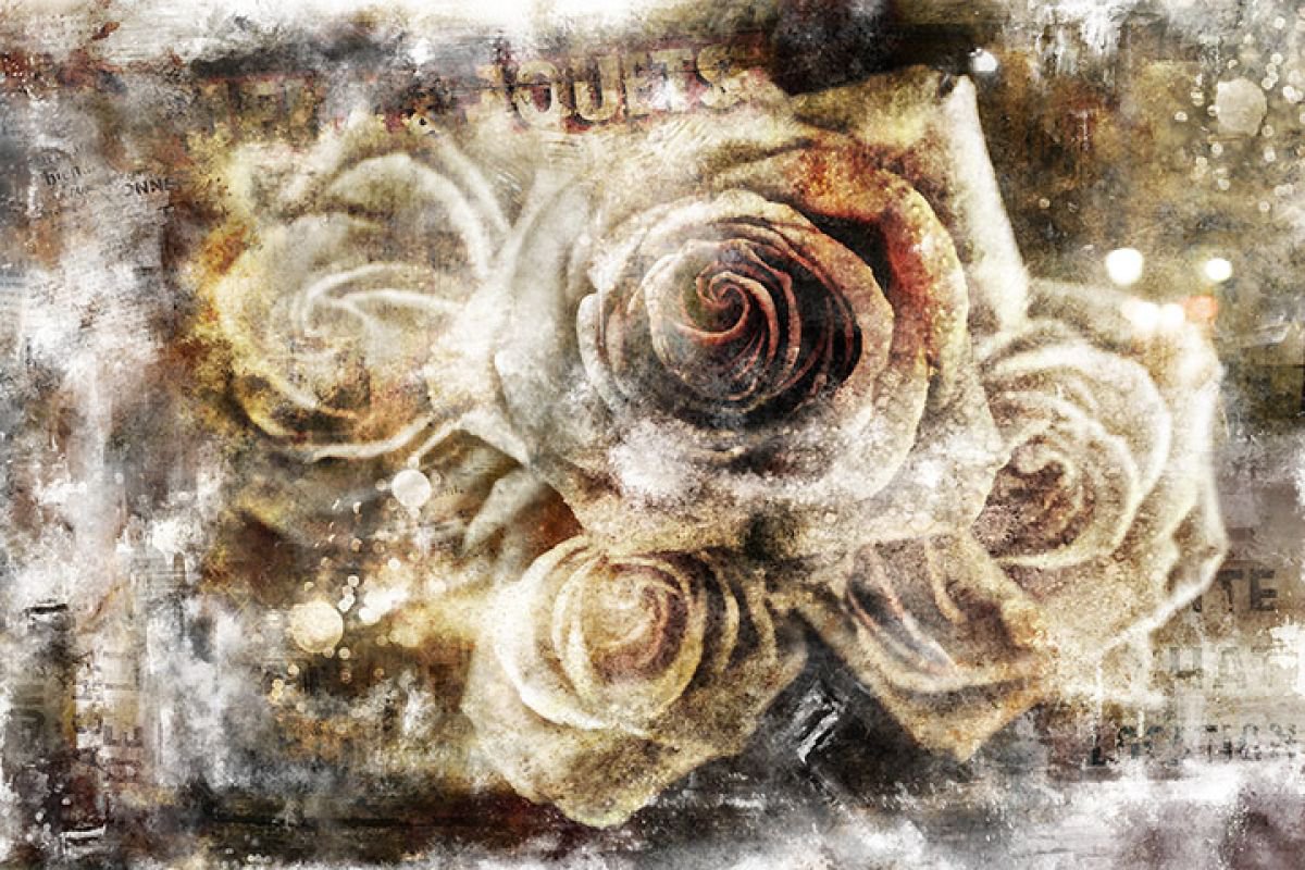 Urban Roses by Cutter Cutshaw