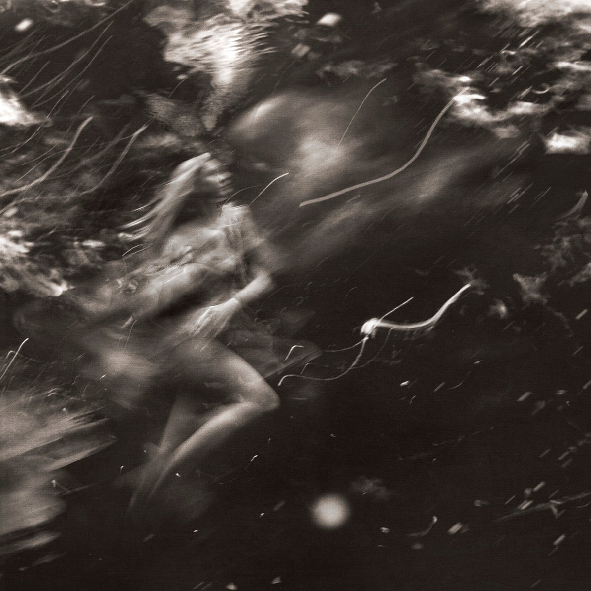 Photorealistic Landscape Photograph By Lexi Laine, 16 X 16", Selkie, Original Artwork