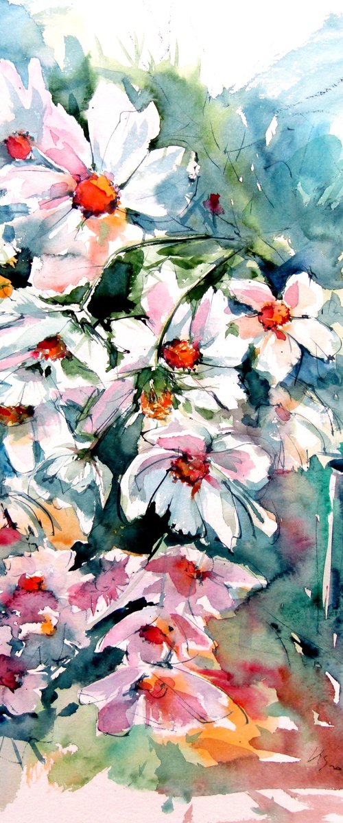 Windflowers in my garden by Kovács Anna Brigitta