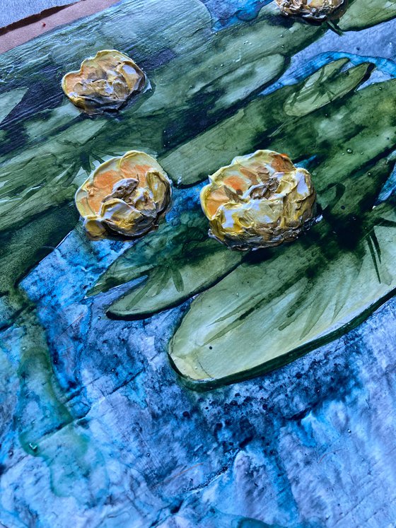 Water lilies in yellow 3