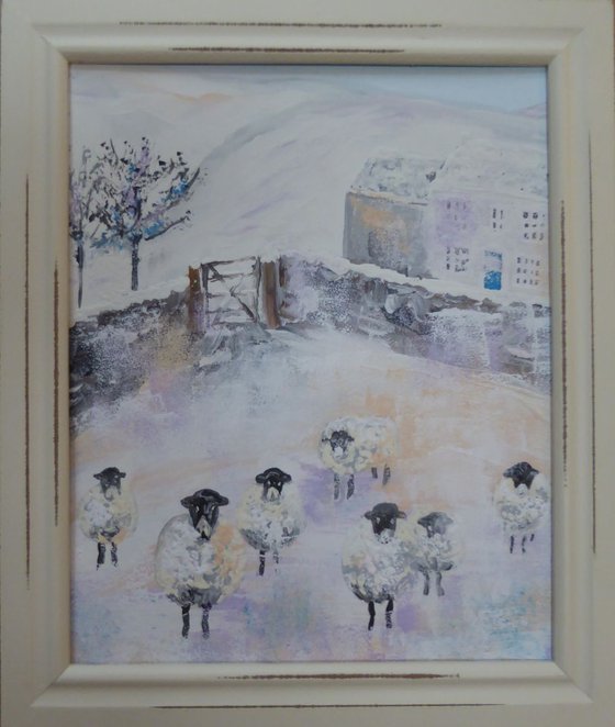 Sheep in Snow