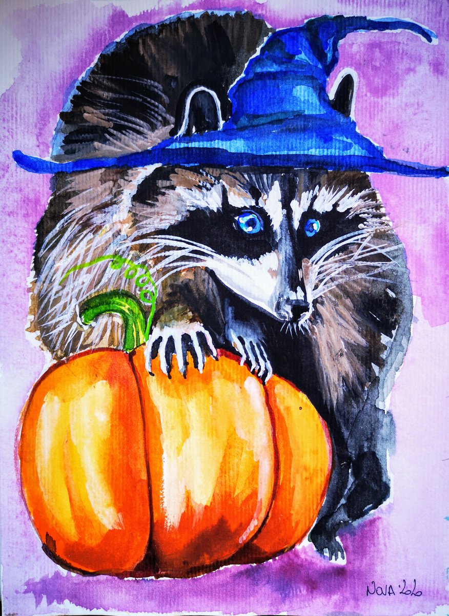 Raccoon Wizard by Jelena Nova