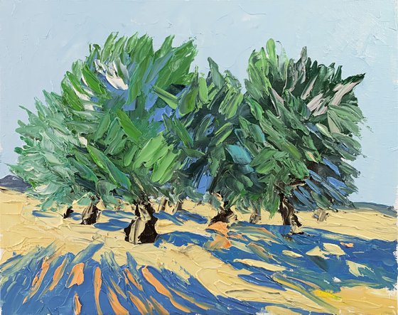 Landscape with Olive trees.