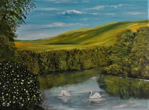 SWANS ON THE RIVER RIBBLE by James Lancaster