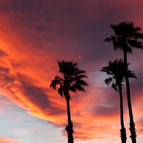 Mojave Sunset, Twentynine Palms