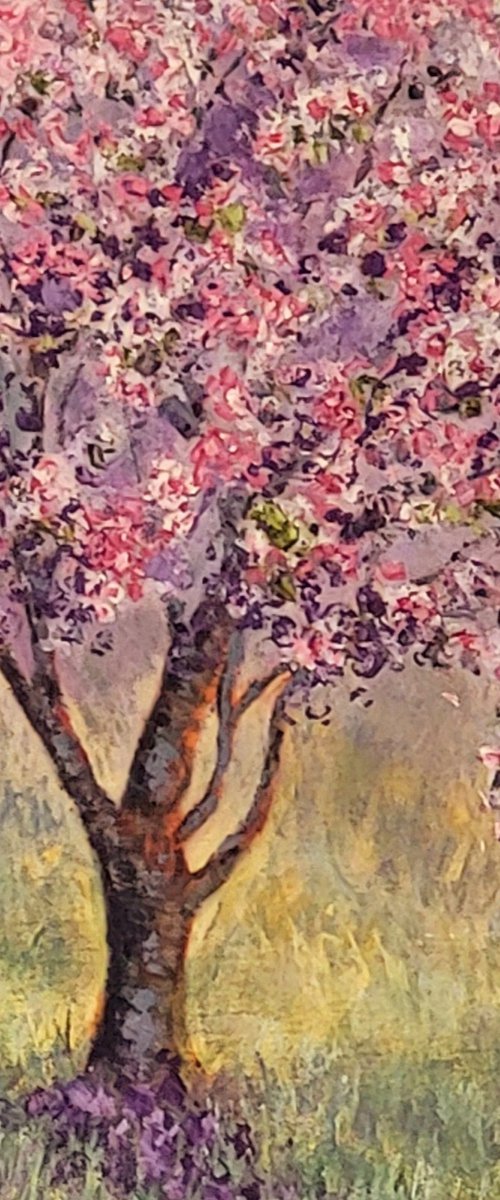 Spring Cherry Blossom ( Spring Tree blossom painting) by Michele Wallington