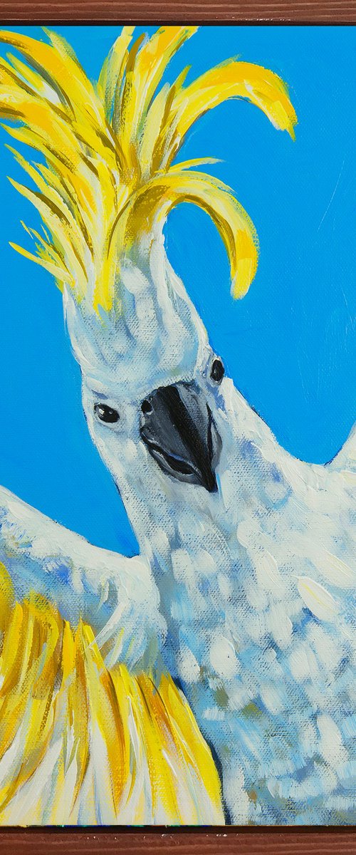 "Party cockatoo" - Sulphur-crested Cockatoo by Irina Redine