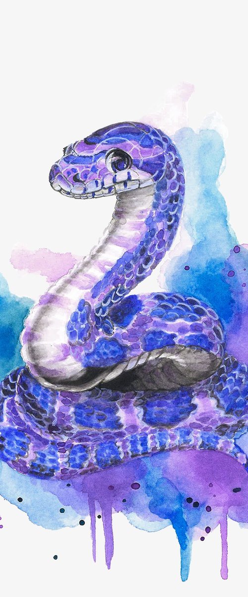 Colourful Snake Painting by Sandy Broenimann