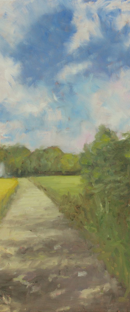 Shevington path towards copse. by Egidius Heerkens