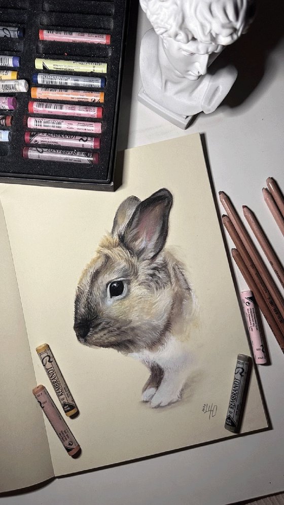Portrait of a cute rabbit
