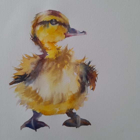 Duckling, an original watercolour painting