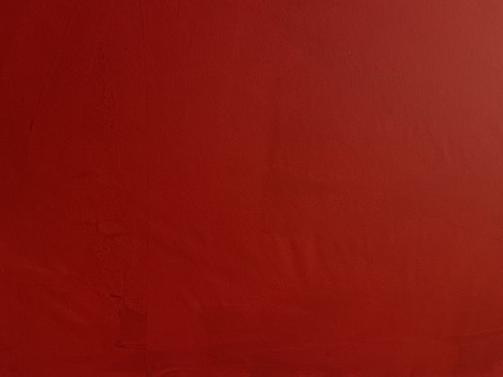 Red Horizon