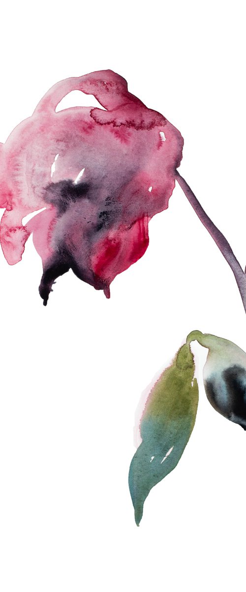 Rose Study No. 39 by Elizabeth Becker
