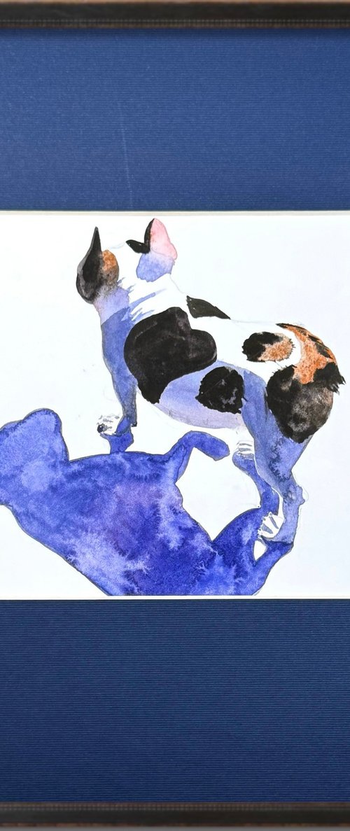 French Bulldog Black White Dog by Yuliia Sharapova