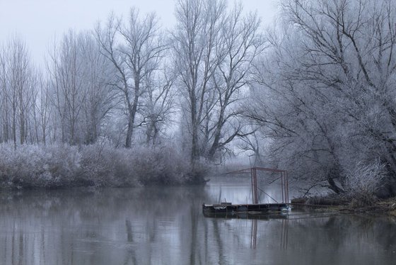 Winter harmony