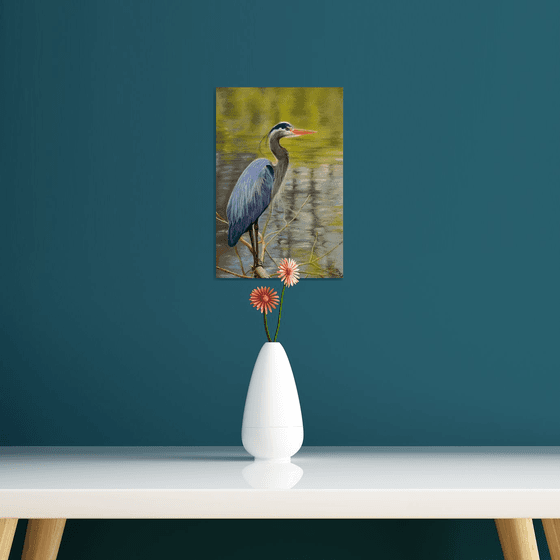 Azure Elegance: Heron in the Sebino Wetlands