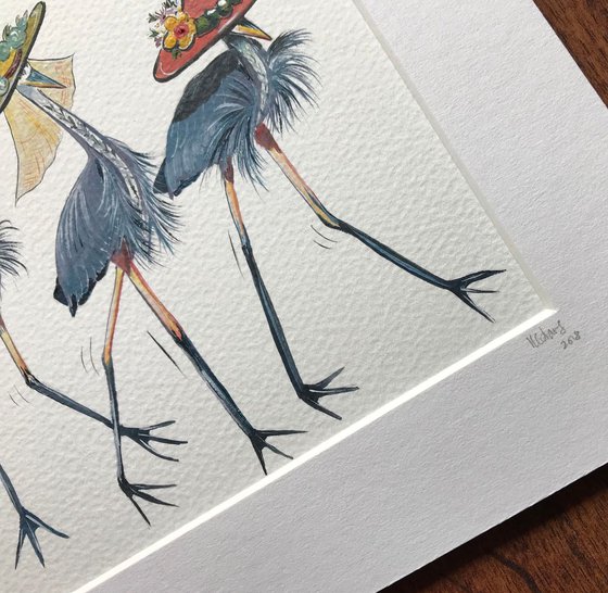 Herons in hats