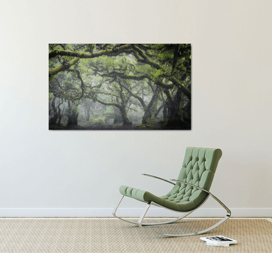 Misty Fanal Twisted Forest
