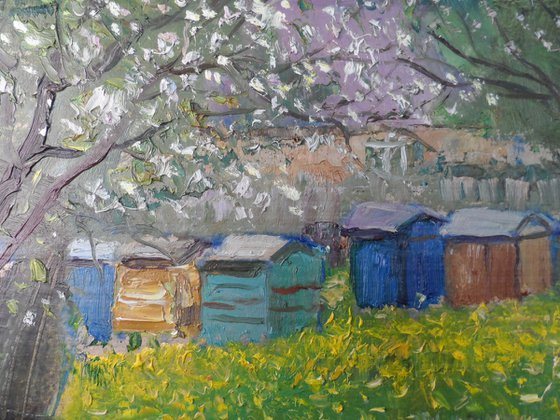 Spring. beehives