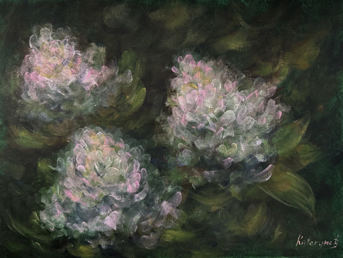 Hydrangea flowers by Kateryna Boykov
