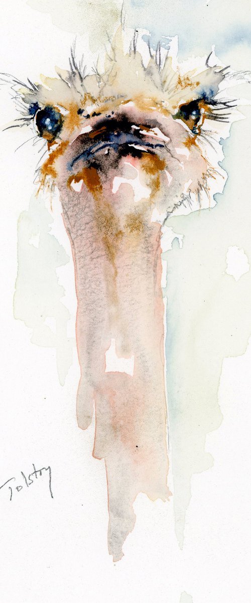Ostrich by Alex Tolstoy