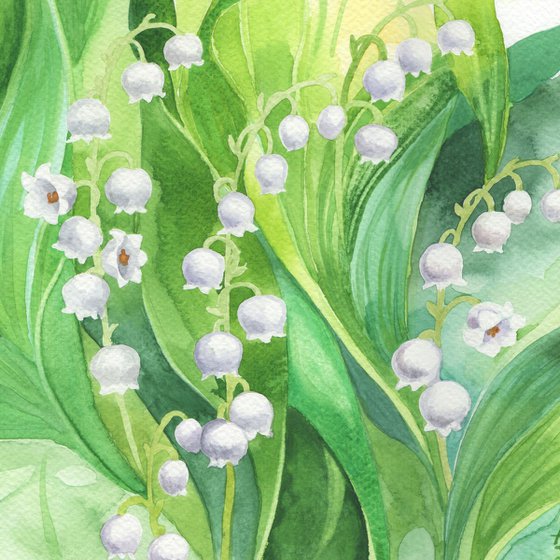 Lilies of the valley