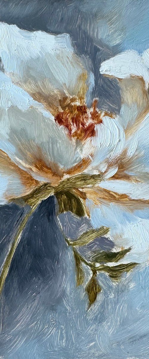 White   flower and thunder sky by Anna Bogushevskaya