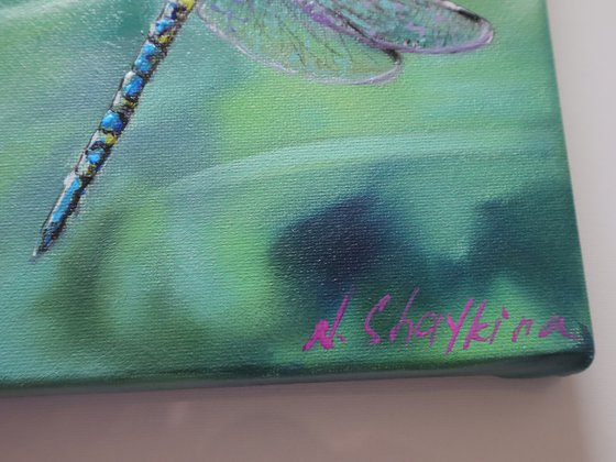 Blue Dragonfly on Pink Flower