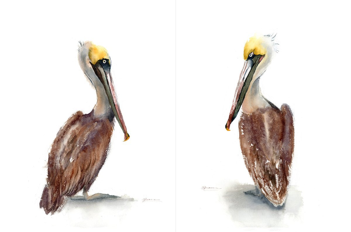 Brown Pelicans Set of 2 by Olga Tchefranov (Shefranov)