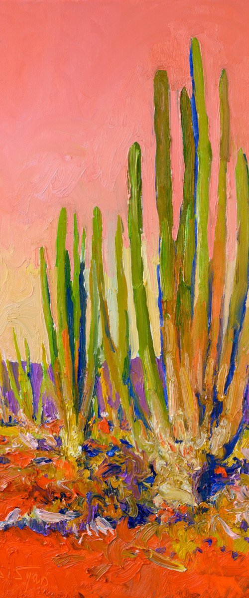 Coral Sky of the Desert by Suren Nersisyan