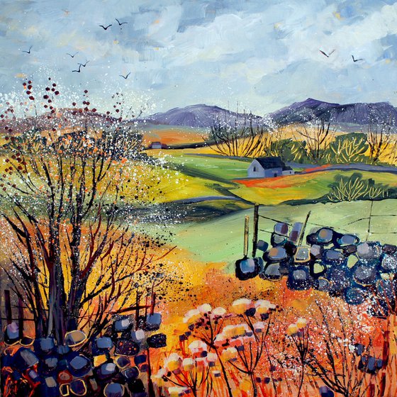 Blackthorn Blossom (Yorkshire Dales)