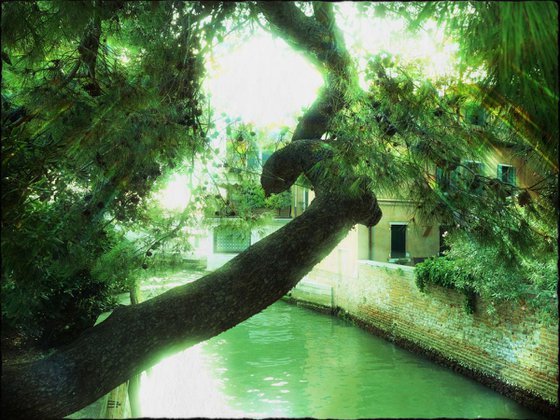 Venice in Italy - 60x80x4cm print on canvas 02591m1 READY to HANG