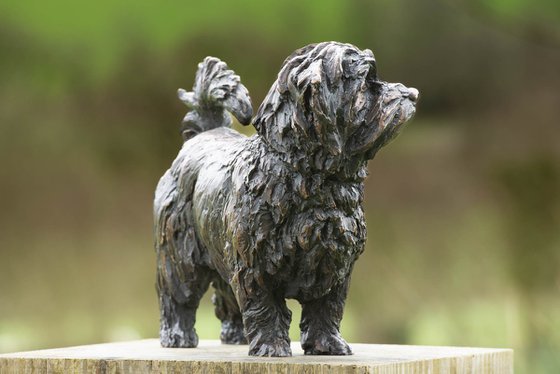 Norfolk Terrier Foundry Bronze
