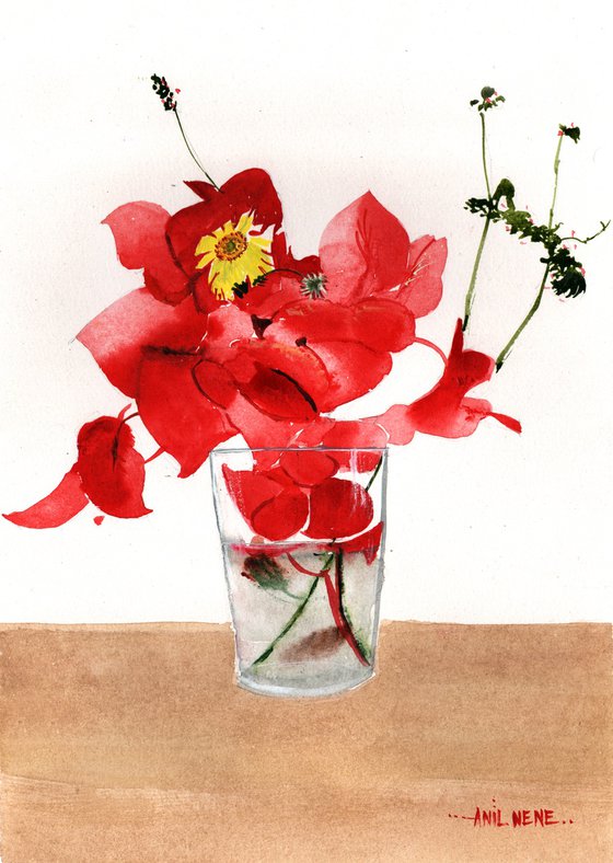 Begonia 2
