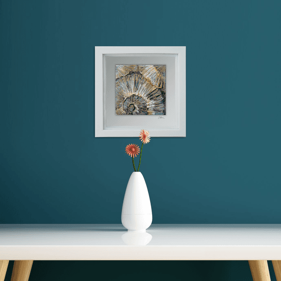 Ammonites (minimalism - ammonites textured painting in black, white and gold #2 ) Framed, ready to hang