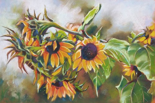 Sunflowers by Magdalena Palega