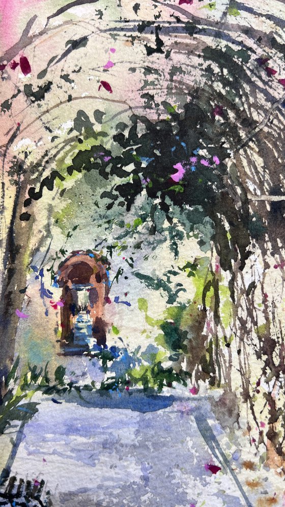 Bougainvillea Tunnel #2