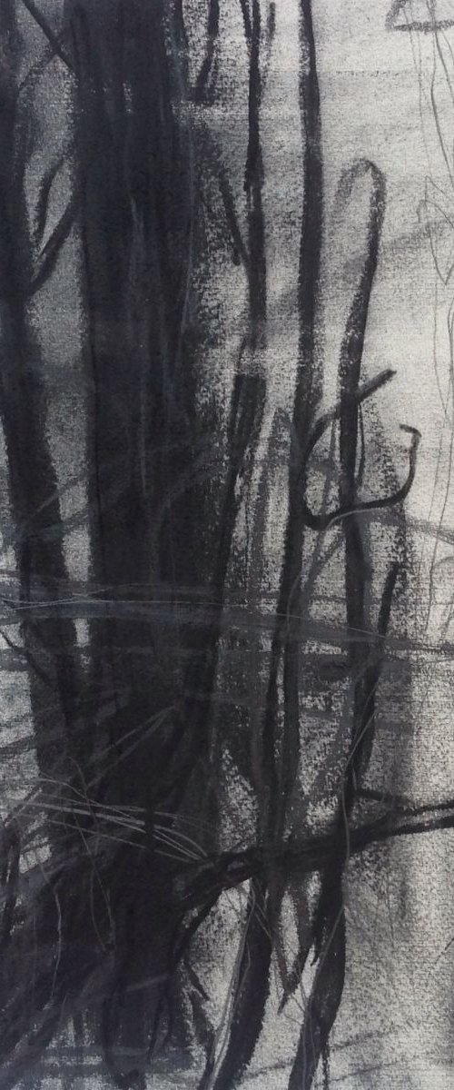 Branch # 5 by John Davison