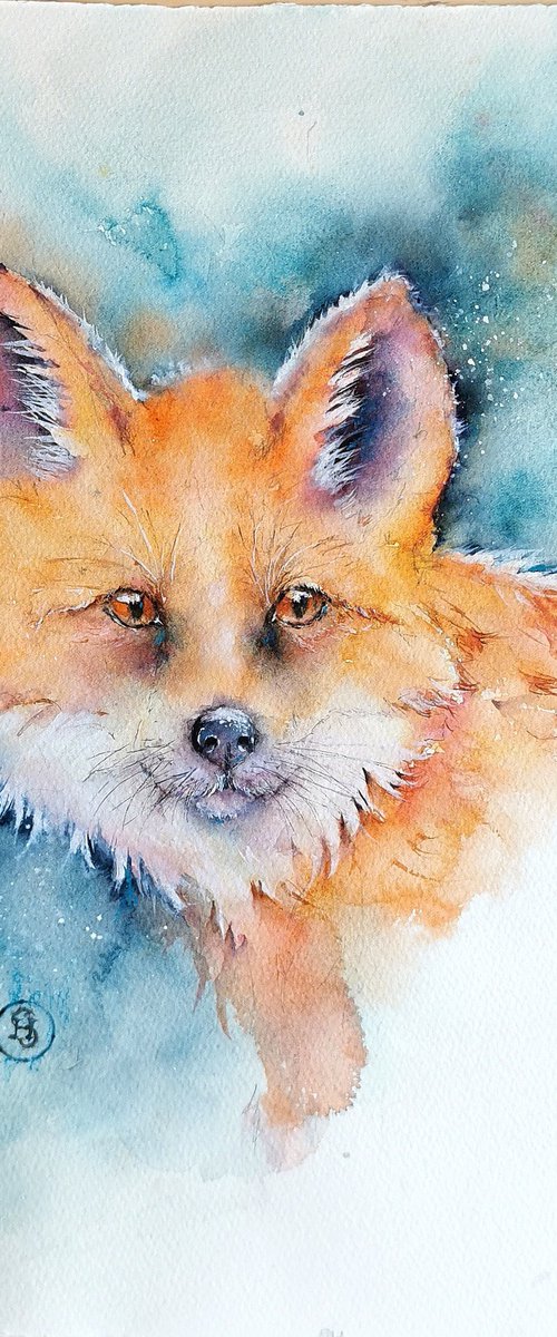 Red Fox by Sveta Hubmann