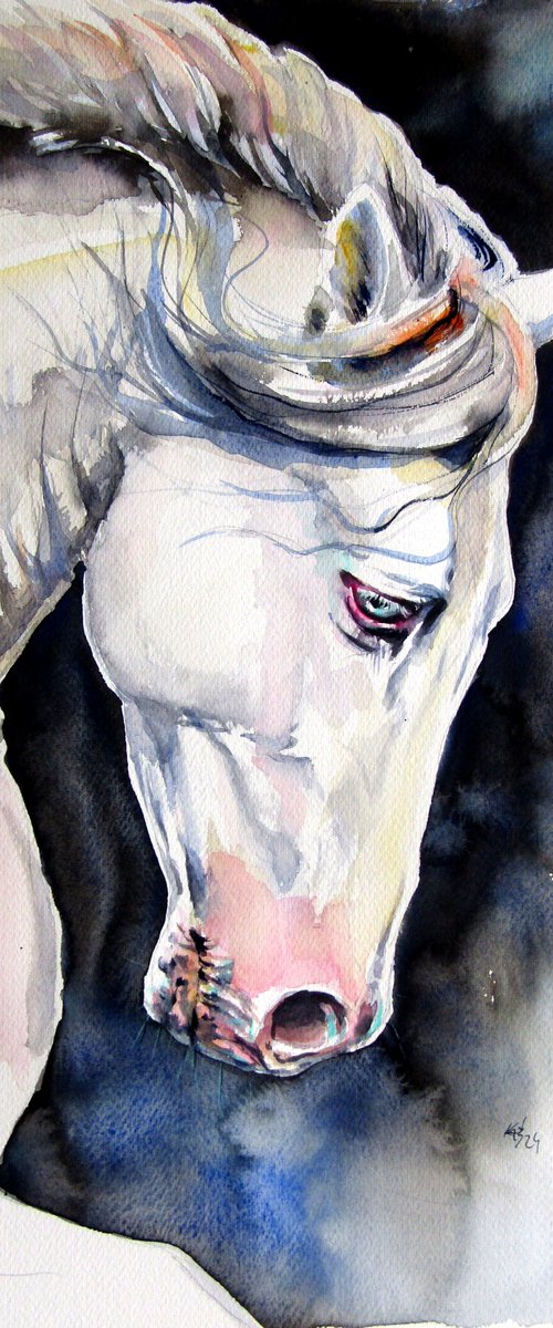 White horse II by Kovács Anna Brigitta