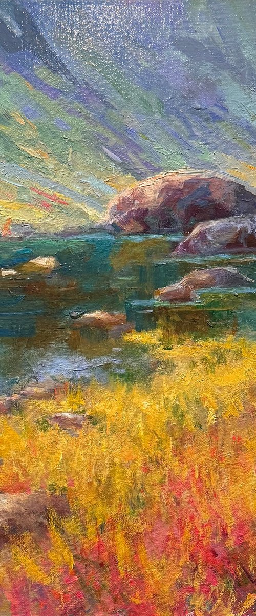 Sunny Rocks by Emily Lane